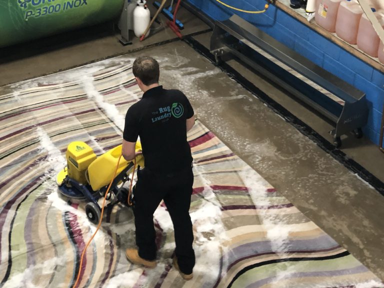 Cleaning A Pet Urine Affected Rug
