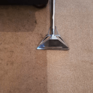 Professional Carpet Extraction - Carpet & Upholstery Cleaning