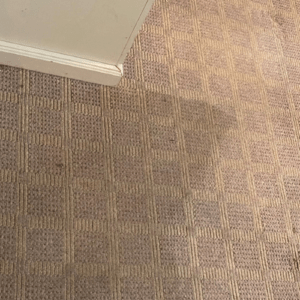 Professional Combination Carpet Cleaning - Carpet & Upholstery Cleaning