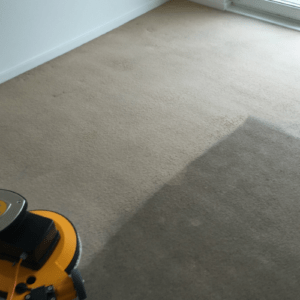 Professional Low Moisture Carpet Cleaning - Carpet & Upholstery Cleaning